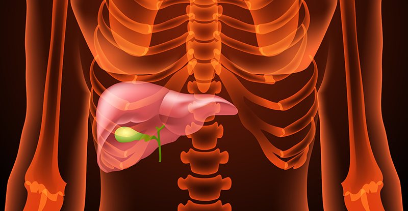 Gall Bladder